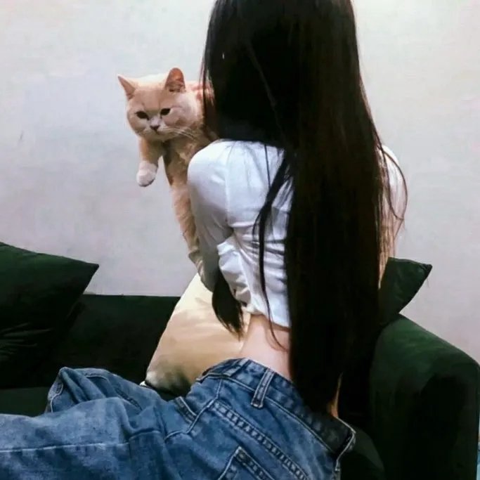 新·奥特曼